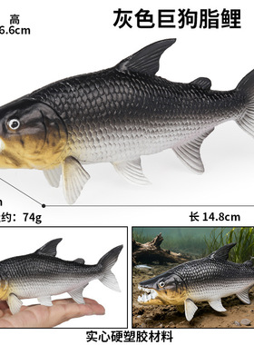 跨境仿真海洋动物模型实心巨狗脂鲤小丑鱼帝王蟹鳐鱼旗鱼儿童玩具