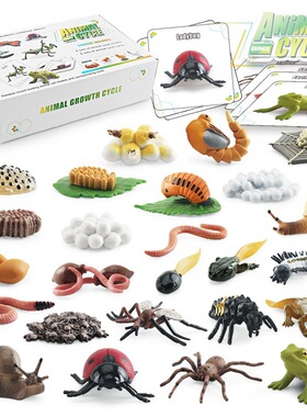 仿真动物生命生长周期模型蚯蚓蜗牛蜘蛛蚊子瓢虫儿童认知玩具袋装