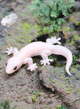 仿真塑胶实心蜥蜴爬行动物模型软胶守宫壁虎变色龙儿童认知玩具