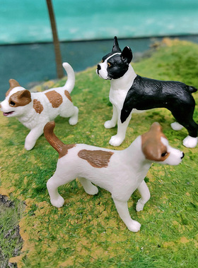 仿真狗狗动物模型波士顿梗犬杰克罗素梗小狗儿童认知装饰摆件玩具