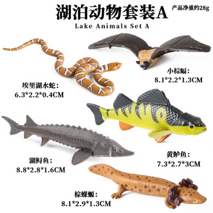 儿童认知动物仿真模型野生猞猁蝙蝠水蛇鲟鱼鲈鱼北美蝾螈套装摆件