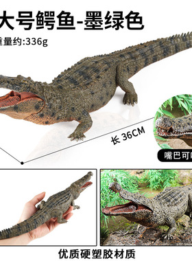 仿真大号鳄鱼模型野生动物玩具野猪鳄帝鳄扬子鳄儿童认知男孩礼物