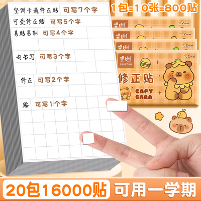 坚洲修正贴改正贴加量大容量