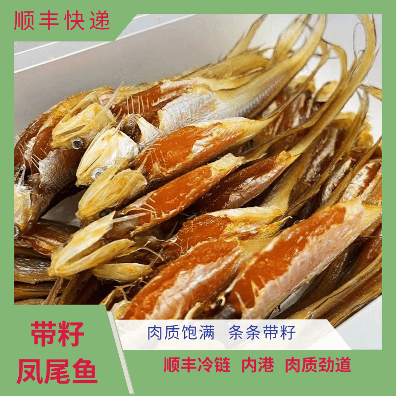 宁波特产舟山本地凤尾鱼干内港带籽鲚鱼干带籽刀鱼新晒小鱼干干货