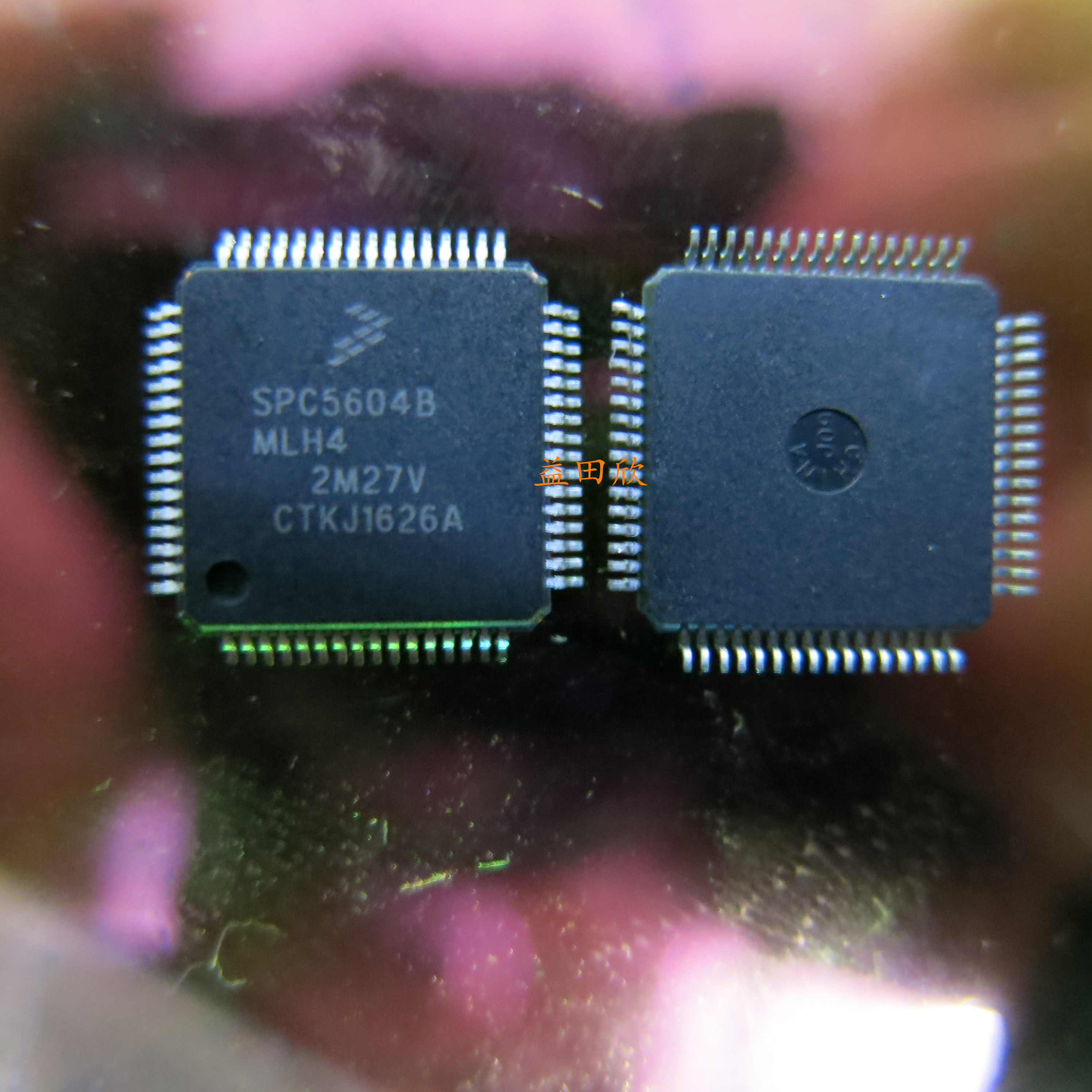 正品 SPC5604BMLH4 SPC5604BF2MLH4 SPC5604 QFP64 现货直拍