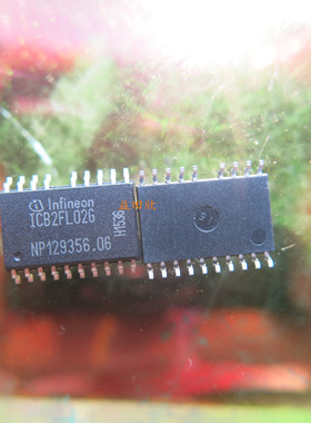 正品 ICB2FL02G ICB2FL02 SOP19 原装现货直拍 专业电子元件
