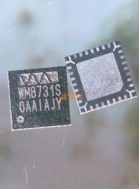 正品 WM8731S   WM8731SEFL WM8731S 贴片QFN 芯片IC 现货 直拍