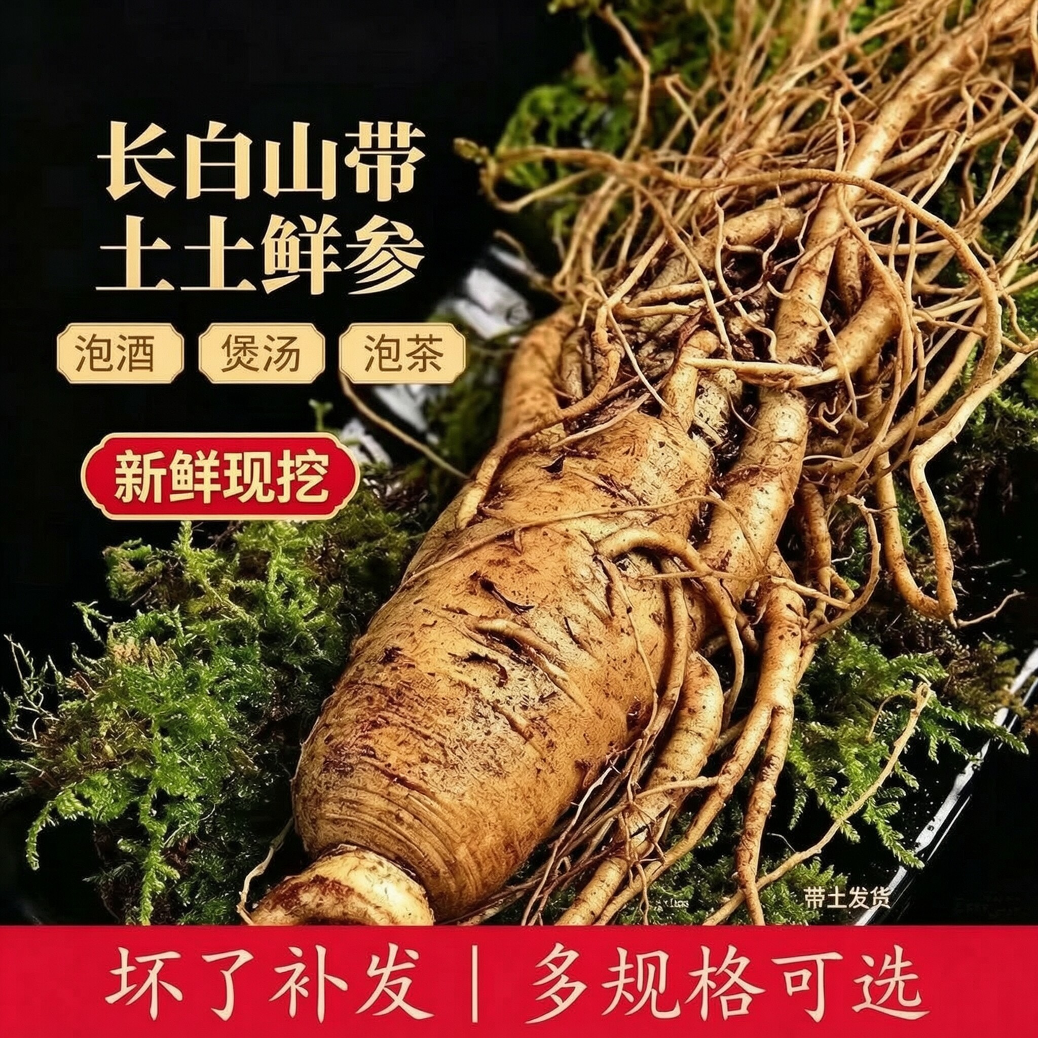 长白山鲜人参 现挖新鲜带土6-10年单支特大人参东北吉林泡酒鲜参