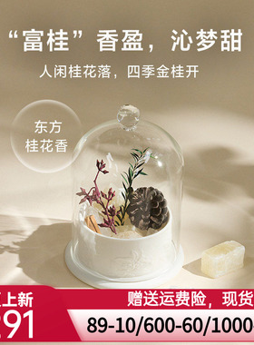 爱慕纽格芙金桂香逢陶瓷晶石香薰NG60136