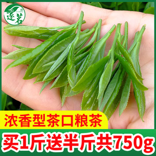 狗牯脑特级茶叶绿茶2024新茶高山浓香明前嫩芽毛尖春茶自己喝250g