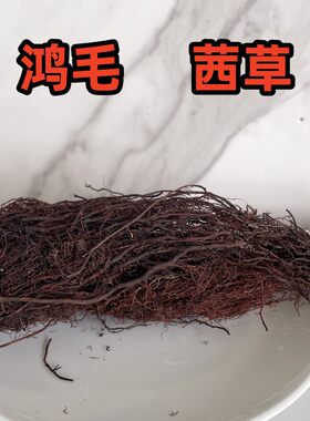 东北长白山鸿毛草茜草