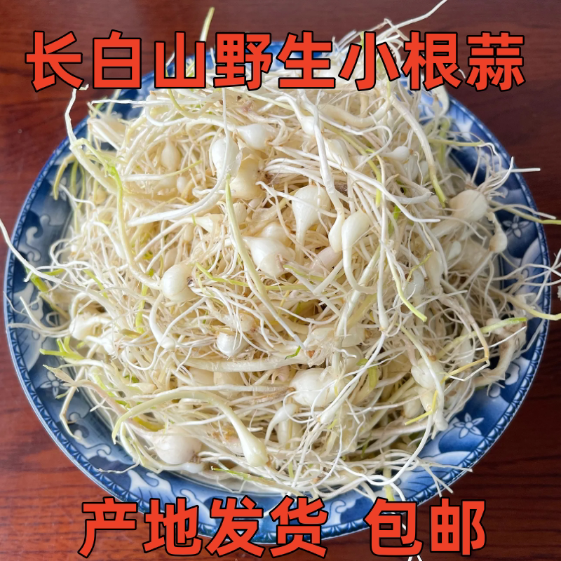 东北长白山新鲜山野菜小根蒜小根菜大脑瓜崩山蒜野蒜2斤包邮