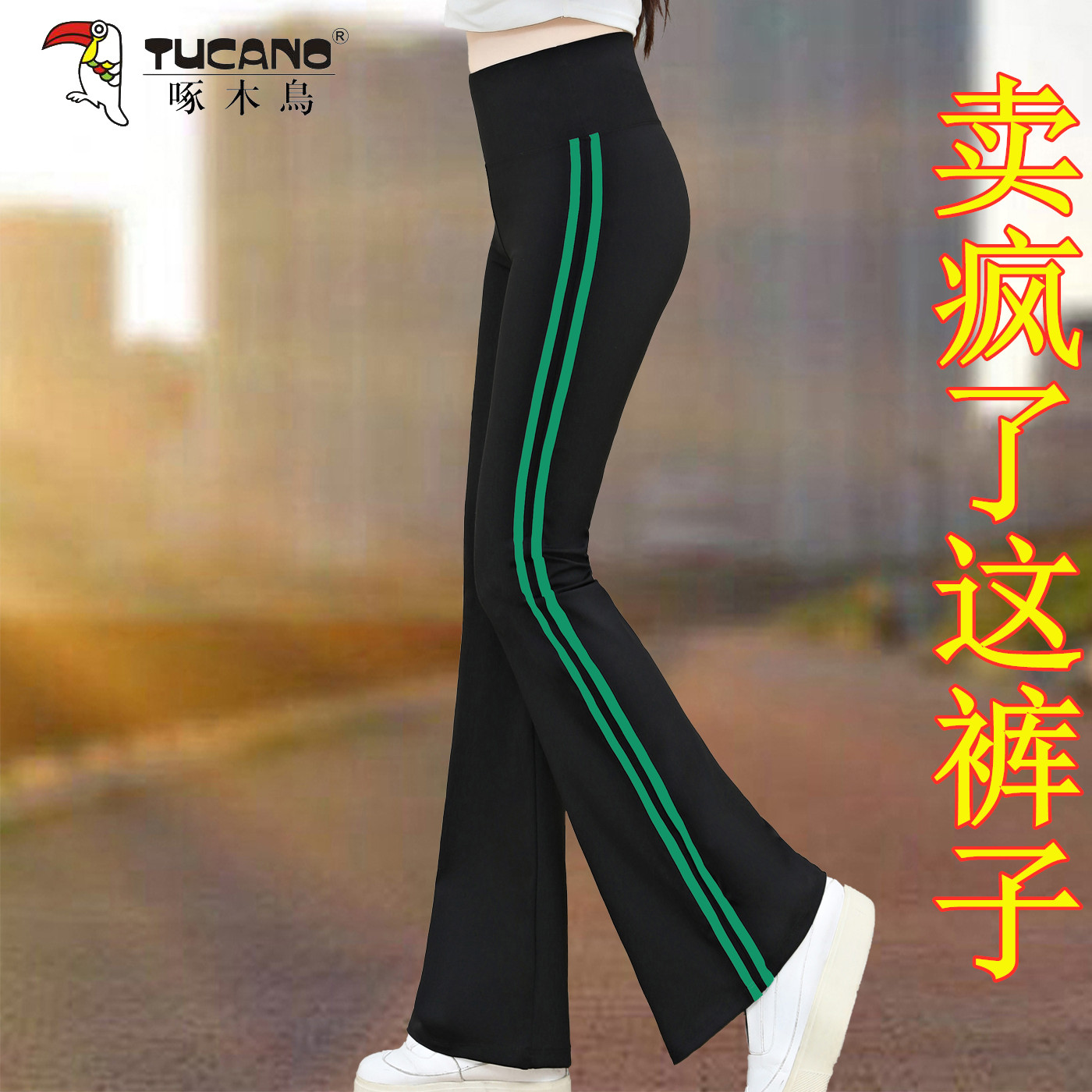 啄木鸟高腰微喇显瘦鲨鱼裤女