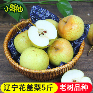 东北花盖梨5斤包邮秋子梨酸口味放软吃可冻鞍山海城特产新鲜水果