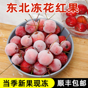 东北冻花红顺丰包邮冻海棠果海红特产冷冻水果酸甜迷你小果子孕妇
