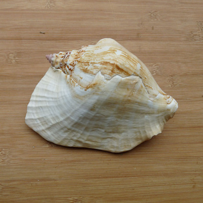 天然装饰家居摆件工艺品