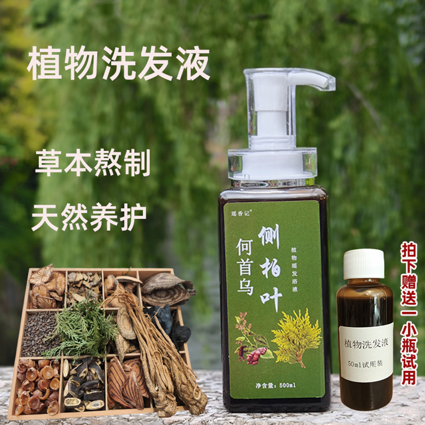 侧柏叶何首乌生姜皂角植物洗发水