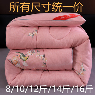加厚棉被冬被加厚保暖冬季被子丝棉被芯床羽丝绒8/10/12/14/16斤