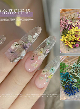 莫奈风干花小清新美甲盒