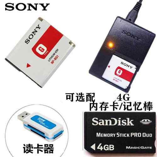 索尼DSCW170 W200 WX1 W300 N1 N2相机NPBG1电池+充电器+读卡器