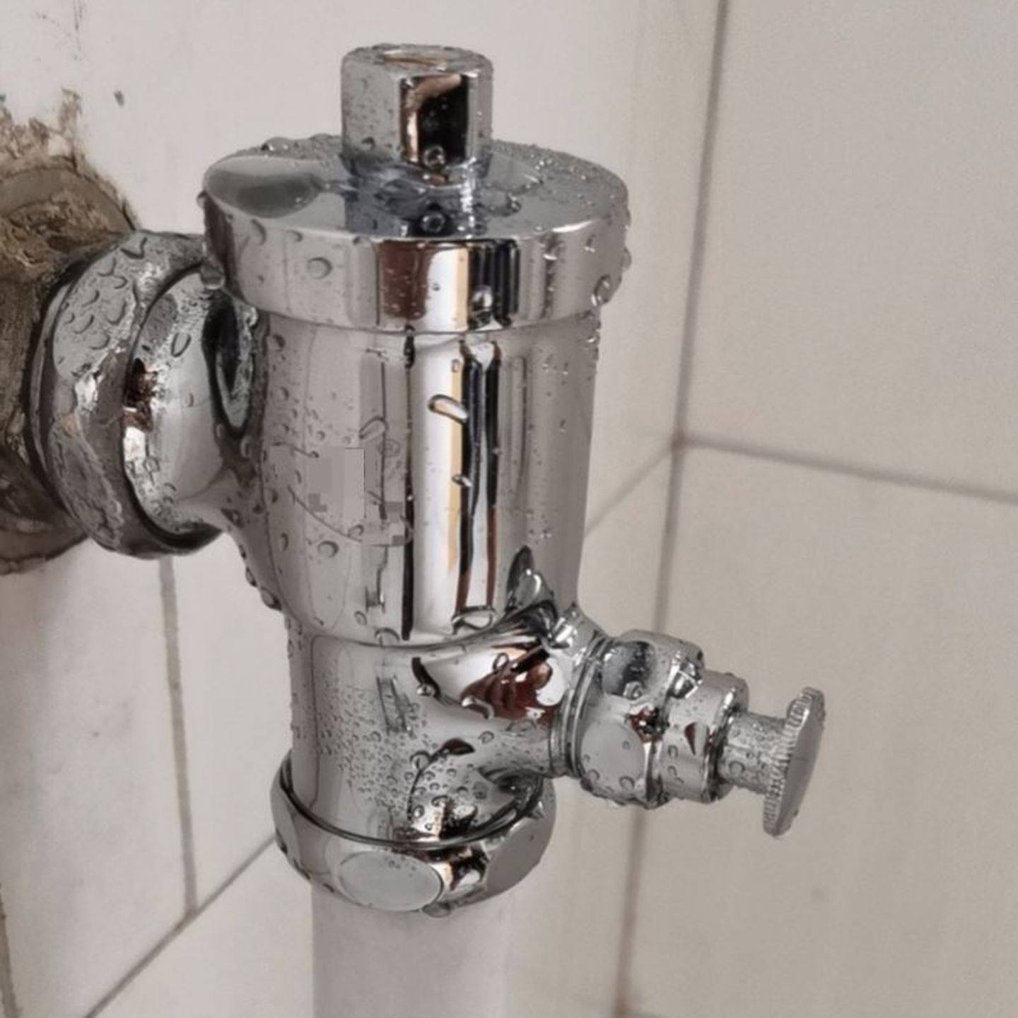 全铜体按钮式延时大便冲水阀 入墙式蹲坑自闭冲水器 手按式冲洗阀