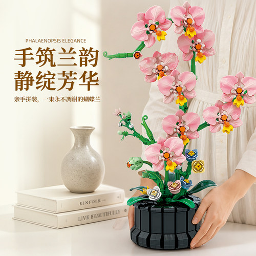 雅致蝴蝶兰积木花束永生花朵