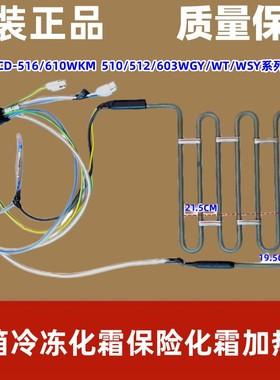 伊莱克斯冰箱 ESE/6009/6002/6509/GS/GD 化霜加热器发热管丝保险