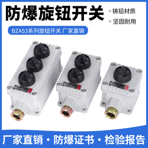 防爆旋钮二档三档旋钮开关自锁式