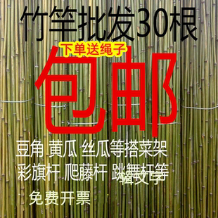 小竹子细竹竿菜园搭架户外篱笆豆角架竹棍2米彩旗杆跳舞竿粗大竹
