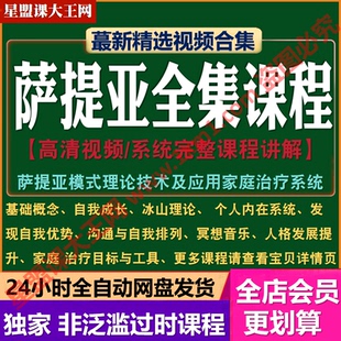 萨提亚视频课程全集冰山理论课家庭治疗排列沟通自我成长心理教程