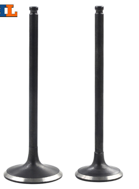 适配雅马哈WR250R 07-17 WR250X 07-12 2014 16-17年气门 气门杆