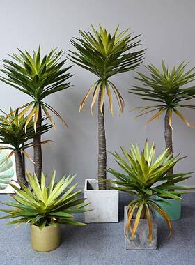 北欧仿真植物龙血树剑麻龙舌兰盆景客厅室内橱窗大型盆栽家居摆件