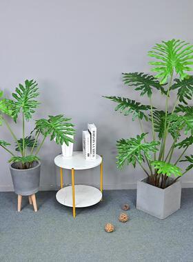 北欧风仿真植物盆栽凤尾葵装饰树室内绿植龟背竹散尾葵春芋喜林芋