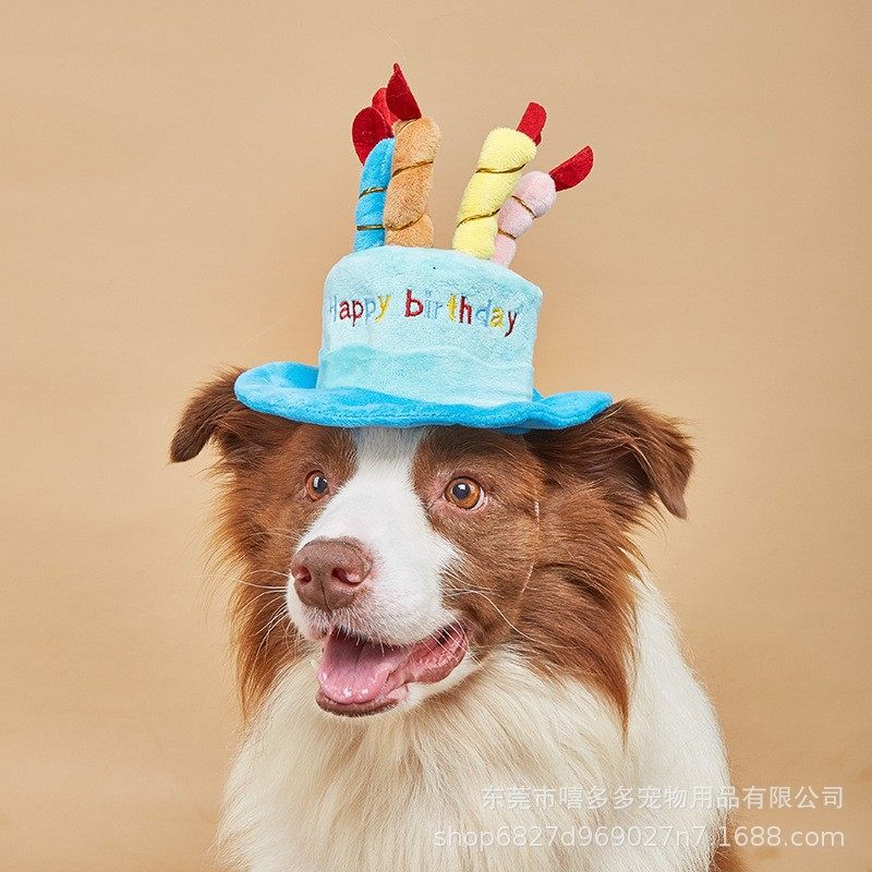 宠物生日帽子玩具 猫咪狗狗新年礼物玩具亚马逊爆款新款,宠物/宠物食品及用品,宠物智能玩具,淘宝优惠券,粉丝福利购,淘宝优惠卷