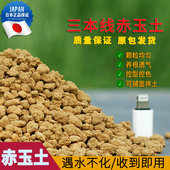 进口赤玉土硬质鹿沼土多肉盆景兰花专用纯颗粒铺面石颗粒土三本线
