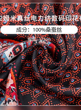 12姆米真丝印花布料桑蚕丝电力纺民族风图案服装面料112cm幅宽