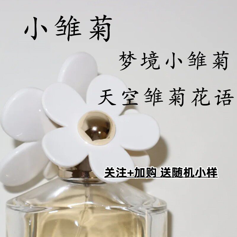 小雏菊黄色粉色阳光雏菊清甜雏菊雨Rain梦境小雏菊天空雏菊花语