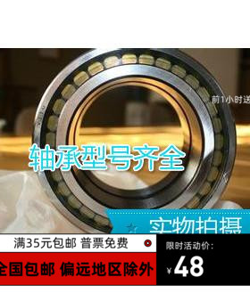 满装圆柱滚子轴承SL183009  183010 183011 183012 183013 183014
