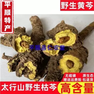 野生黄芩个子整株枯芩条芩子芩500克包邮山西黄芩新货黄琴包邮