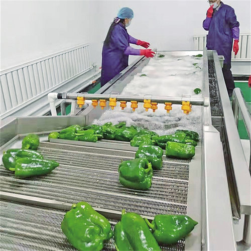 商用果蔬气泡去泥沙清洗机