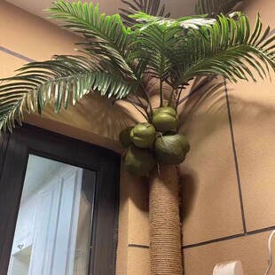 阳台下水管遮挡装饰仿真绿植树叶椰果消防管道遮丑美化包管椰子树