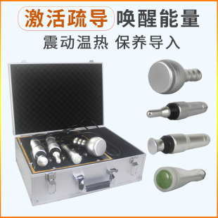 私密能量性腺激活仪器私美保养按摩器加热紧致外阴震动美容院修复