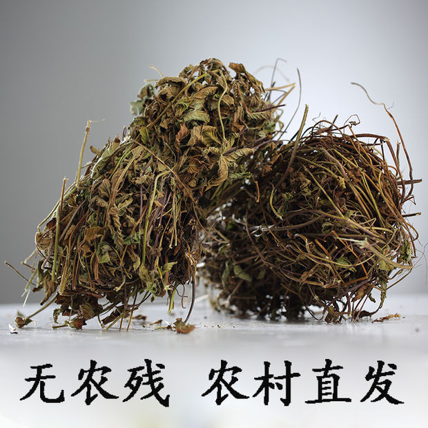 2023年新鲜干仙草黑凉粉草粿草全叶台湾仙人草冻龟苓膏配料仙草干