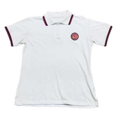 上海小学白色翻领polo衫校服上实剑桥外国语中学同款来图定制