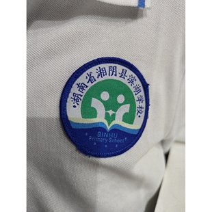 初中学生白色短袖T恤POLO衫湘阴县滨湖学校校服同款来图定制