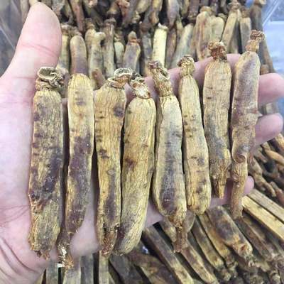 长白山高丽参黄皮边条规格整根