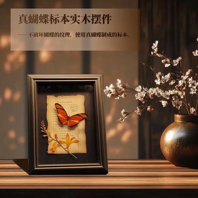 创意昆虫蝴蝶标本摆件装饰画