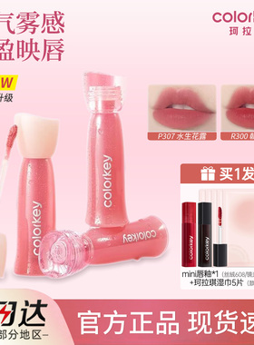 Colorkey珂拉琪水雾唇露低饱和雾面唇釉女唇彩唇膏新年礼物正品