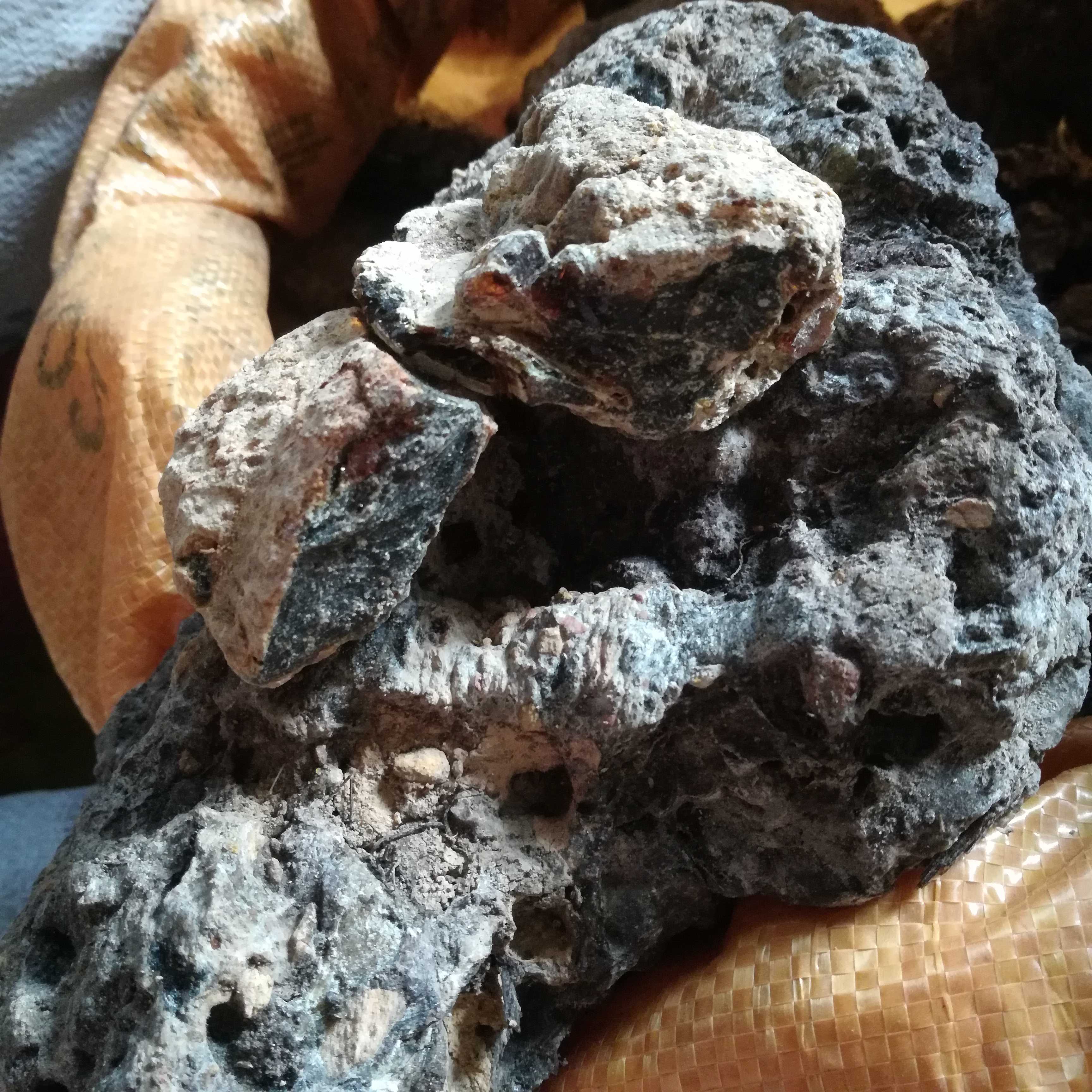 海南橄榄脂 橄榄香 合香 香道 海南大叶降真香木料文玩佛珠手串