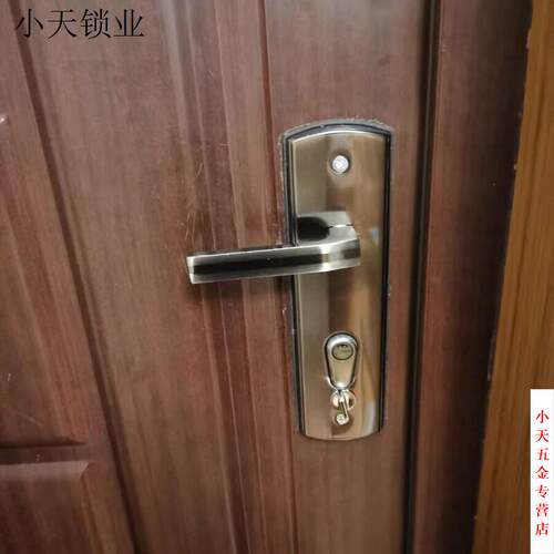 .铸成888盼盼防盗门锁把手新九老九拉手带-春天保险9
